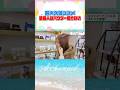 青木愛の新大久保韓国コスメ巡り