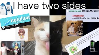 Hololive Reddit vs. 4chan