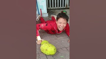 Trái Sa Kê khổng lồ #shorts #shortvideo #tiktok #tiktokvideo #youtubeshorts