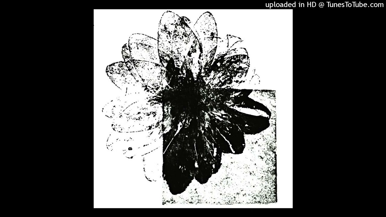 ginseng + misogi + pinknoise type beat ~ ⭑ピンクの涙滴の花⭑