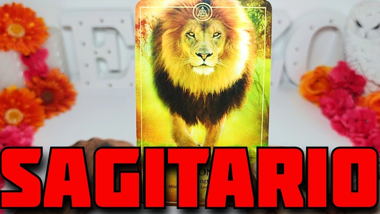 SAGITARIO ♐️ VALGAME DIOS‼️😱 ESTA PERSONA ESTÁ ENAMORADA DE TI 😍 ...