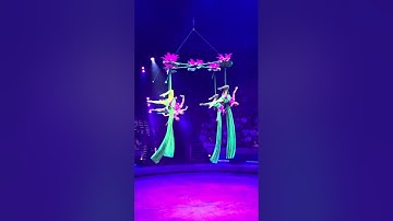 Đu Sen - Tiết mục xuất sắc của bốn cô gái Việt Nam tại Liên hoan xiếc quốc tế 2025 tại Nga