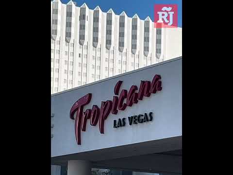 Carrera por el 10 Aniversario de Royal Yak Cancún (Reportaje en K-OS de Promovisión)
