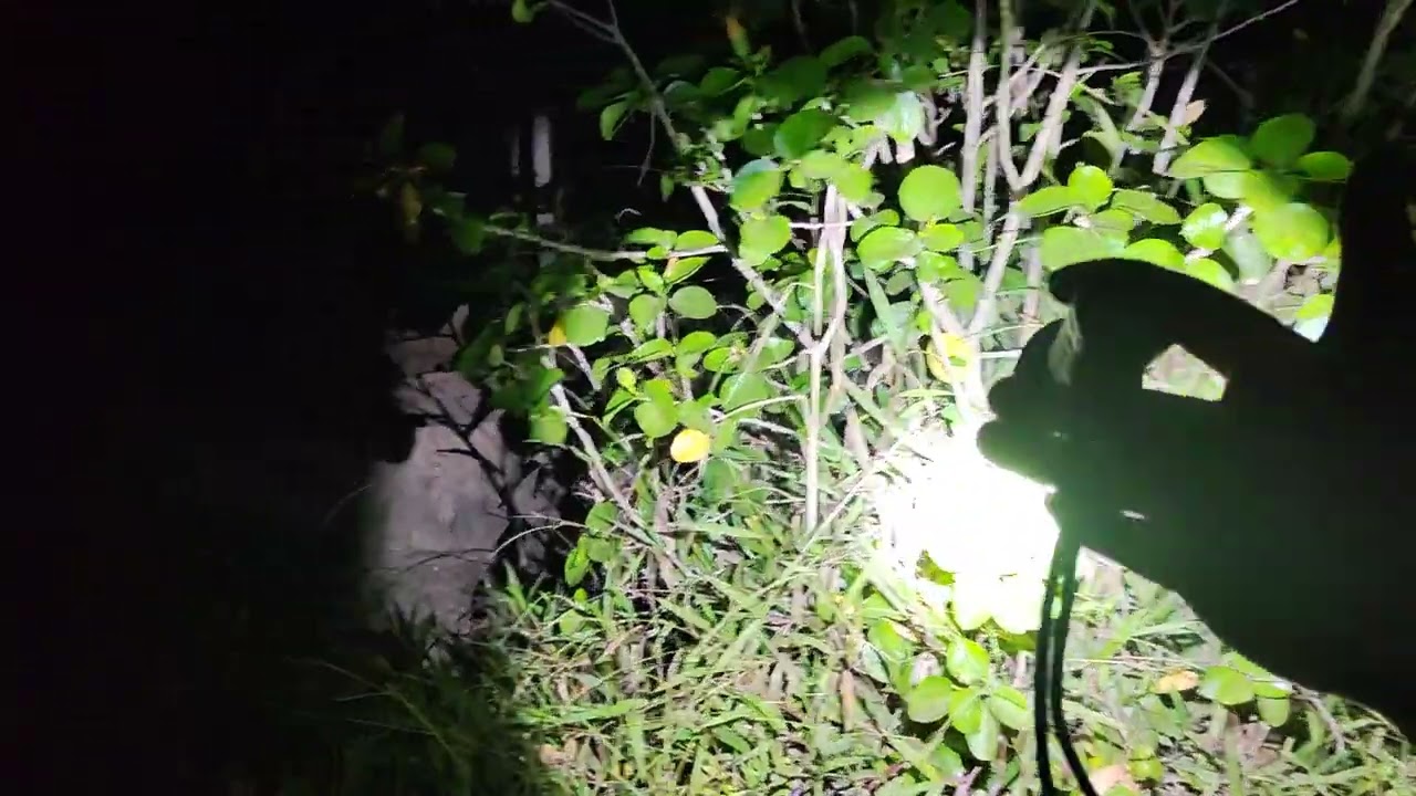 Đèn Pin Cầm Tay Siêu Sáng Starfish X45 Bản Led SFT 40 Chiếu Xa 700m