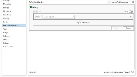 ArcGIS Pro - Definition Queries