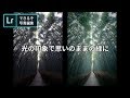 #28 光の印象で→思いのままの緑に|できるぞ、Lightroom CC。- アドビ公式