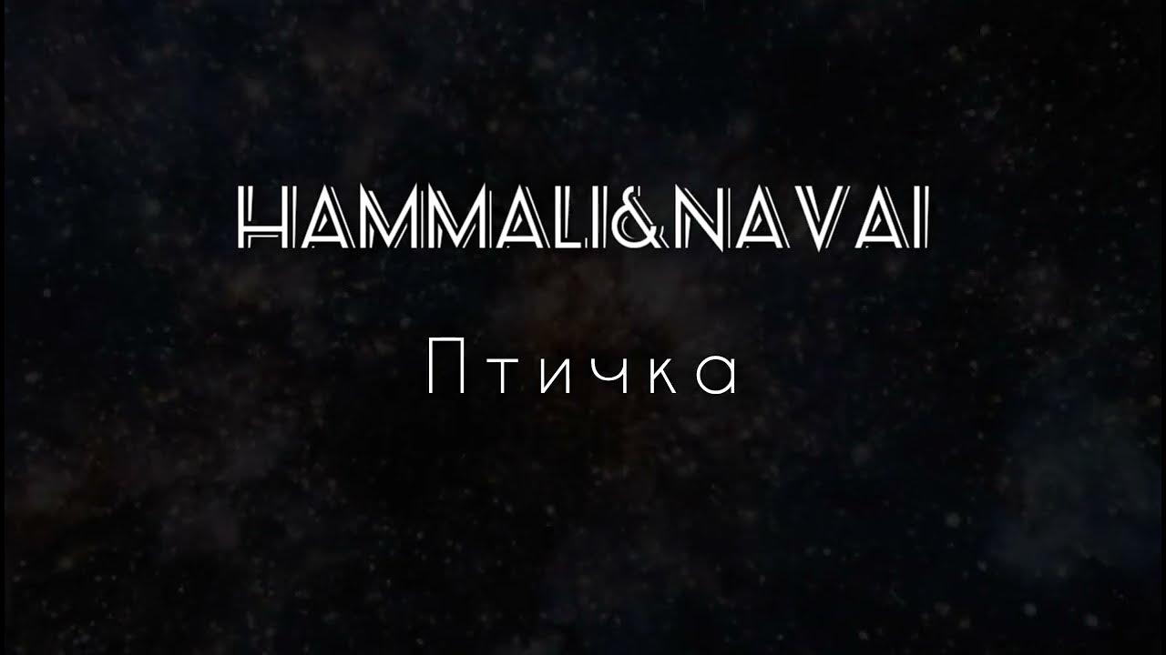Улетай караоке. Птица караоке. Птичка слова хамали. Караоке песня птичка hammali navai. Птицы и пчелы караоке.