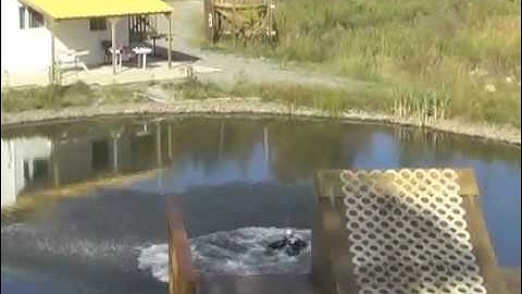 Mikael Kingsbury , Triple full