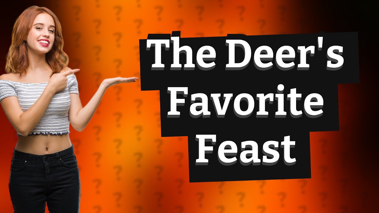 What do deer love to eat the most? YouTube