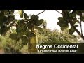 Organic farming in the philippines living asia channel documentary organic negros occidental