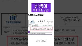 특례보금자리론 vs 신생아특례대출 비교는 필수