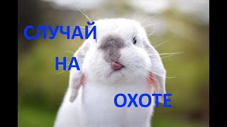 Случай на заячьей охоте :)