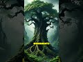Nature’s Artistry: Trees That Shape Themselves