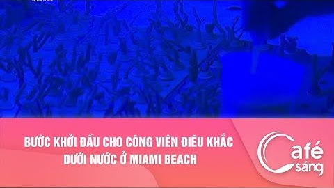 BƯỚC KHỞI ĐẦU CHO CÔNG VIÊN ĐIÊU KHẮC DƯỚI NƯỚC Ở MIAMI BEACH