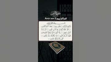 #ما_شاء_الله #قورئانی_پیرۆز #القرآن_الكريم #سورة_التين #eslam #islam