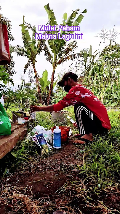 Already Understand Bondan's Song #music #viralvideo #song #stroywaindonesia