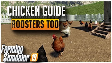 Ultimate Guide to Chickens and Roosters | Farming Simulator 2019