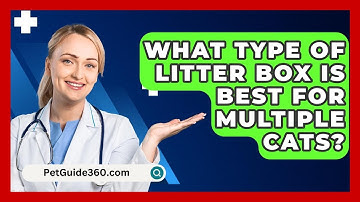 What Type Of Litter Box Is Best For Multiple Cats? - PetGuide360.com