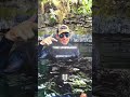 This Man Explains Why The Alligator Doesn T Attack Him ЁЯШ This Man Explains Why The Alligator Doesn T Attack Him ЁЯШ
