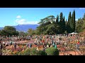 Юбилейный бал хризантем в Никитском ботаническом саду