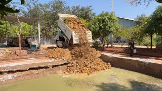 First Start New Perfect Project Delete POND Processing by Komat'su D21P & Dump Truck Unloading Soils