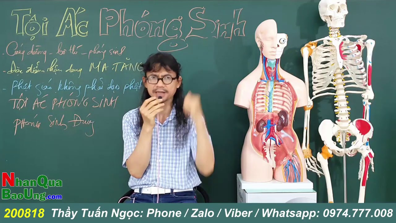 995. TỘI ÁC của việc PHÓNG SINH - NHÂN QUẢ BÁO ỨNG