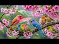 🌸 Spring Ambience & Bird Sounds 🎶 Soft Piano Music for Anxiety Relief