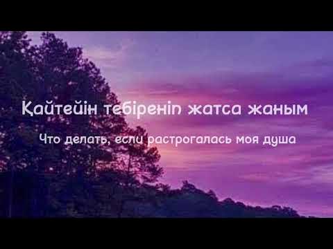 Қынаптағы және анальдегі заттар