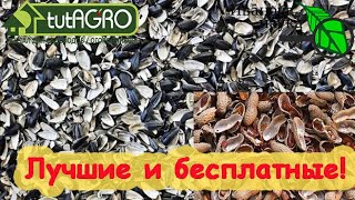 БЕСПЛАТНО и ОЧЕНЬ ПОЛЕЗНО! ШЕЛУХА, ЛУЗГА и СКОРЛУПКИ - ВОТ САМЫЕ ЦЕННЫЕ УДОБРЕНИЯ! Как использовать.