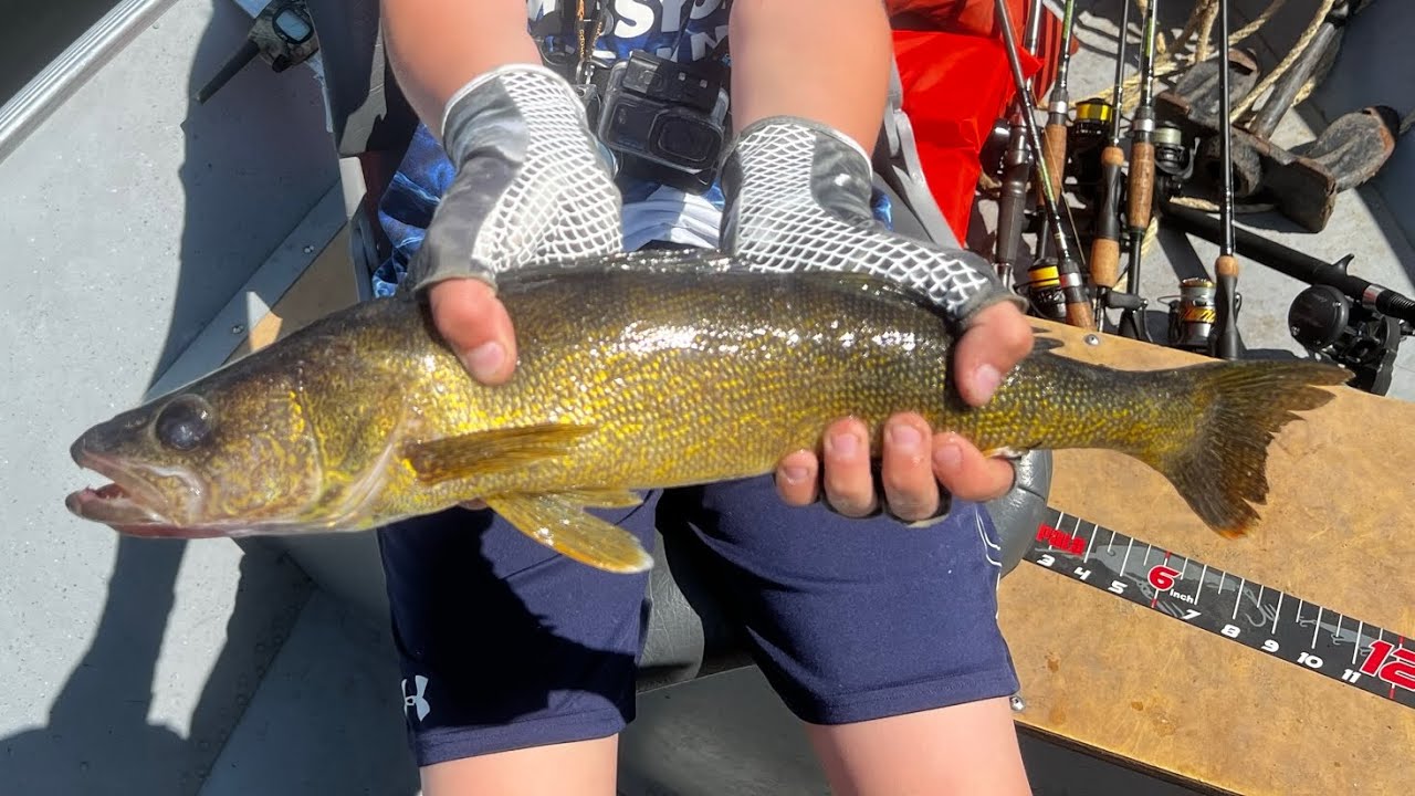 Days 1 and 2 of the 2023 Ontario Canada fly in fishing trip YouTube