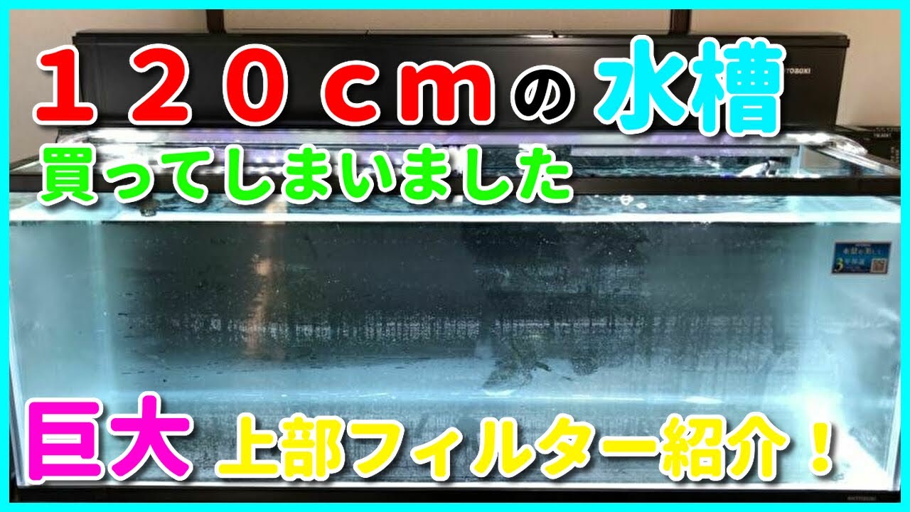 アクアリウム】総額〇万円！？120cm水槽をネットで購入しました - YouTube