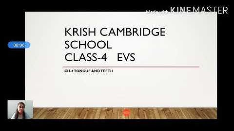 CLASS4 EVS Ch-4(TONGUE AND TEETH) PART1