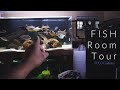 3000 Gallon Tour | Fish Tanks & Ponds