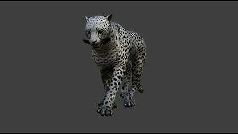 Cheetah 3D Model AR VR VFX 3D Model