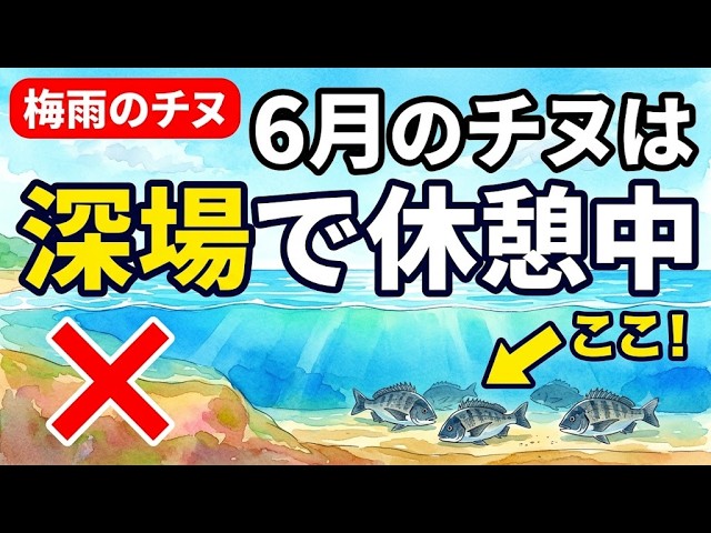 科学で攻略】6月にチヌが消える理由 答えは「ふかば」だった - YouTube