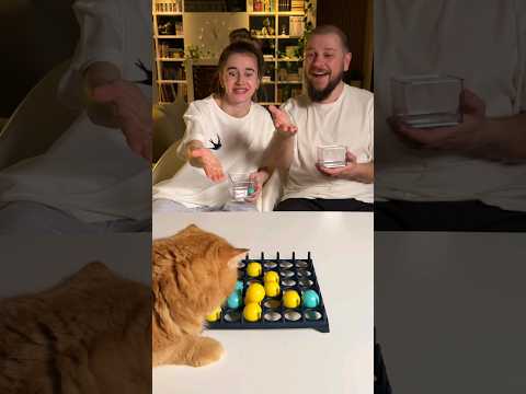 С котьей помощью! 😹 Game Bounce #boardgames #настольныеигры #настолки #игры #games #настольные_игры