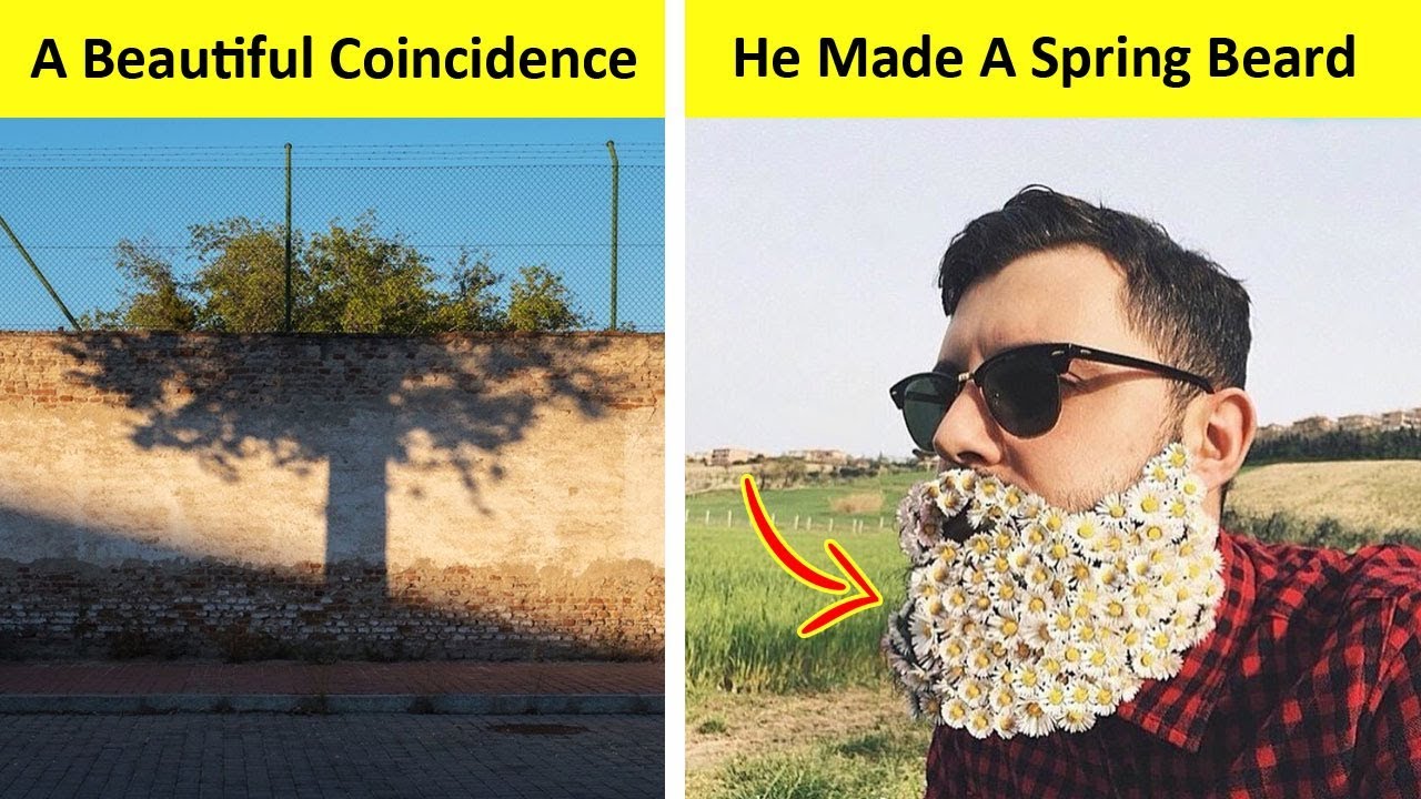 Photos That Prove Amazing Sights Can Be Right Around the Corner