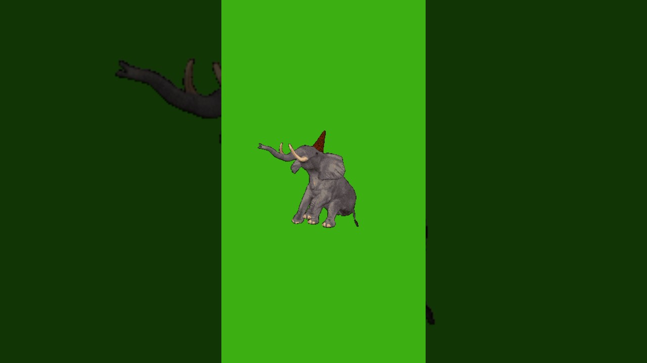 Elephant Green Screen Video l Green Screen Elephant 