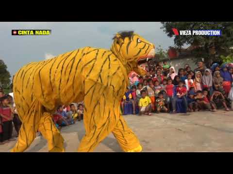 MACAN MELAWAN SAAT AKAN DIGOR0K | ODONG ODONG CINTA NADA SHOW PENANGGAPAN - BANJARHARJO 15-10-2019