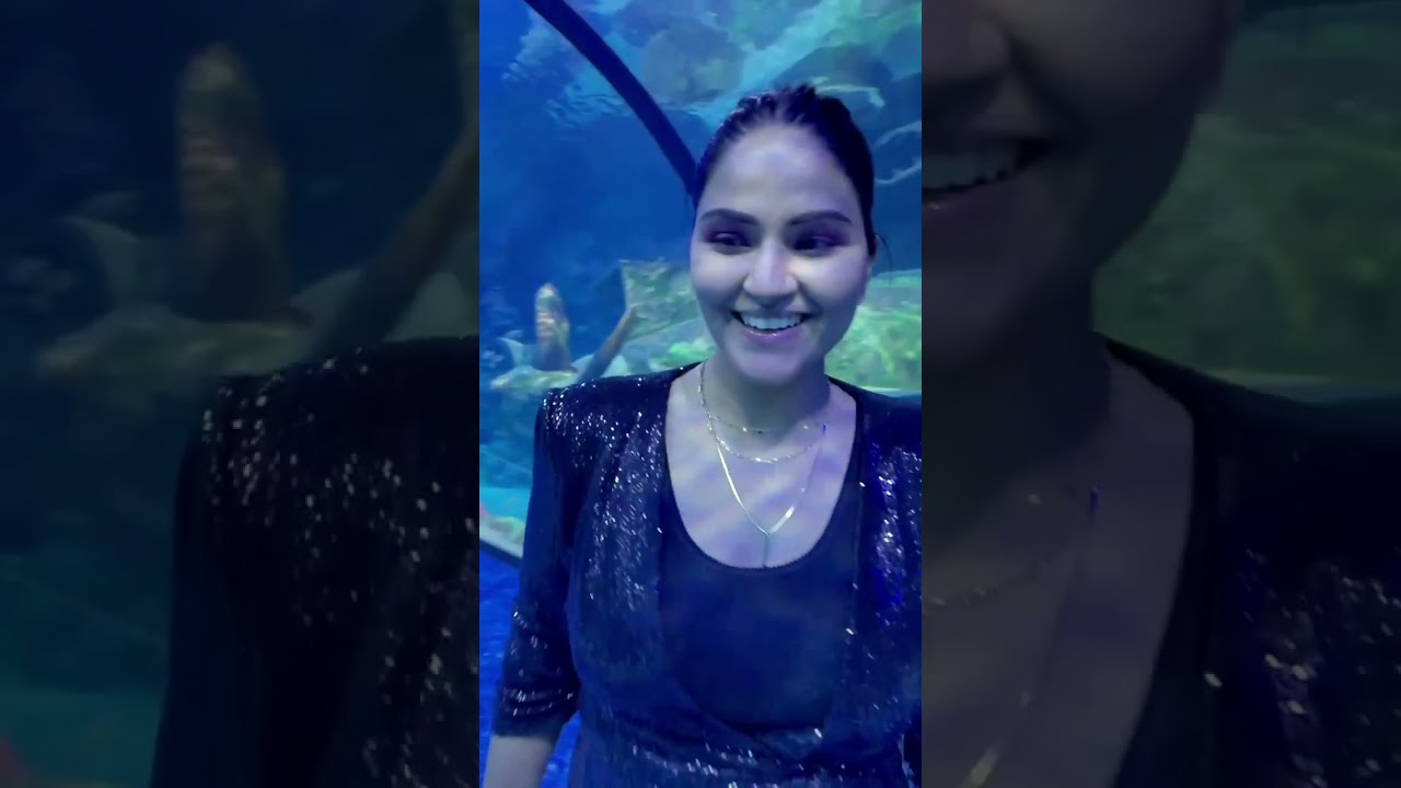 Flying Beast | Celebrity Trails | Visit Abu Dhabi