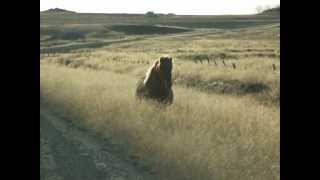 Details Iceland October 2012 20121022 248.avi Update
