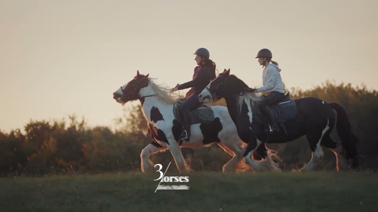 Castle Podsreda - Encounters with Nature: 5 Animals in Kozjansko