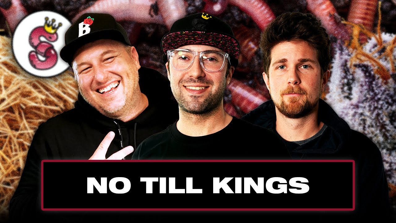 No Till Kings: Blue Dream is Back, Organic No-Till Flowers, Worm Warriors