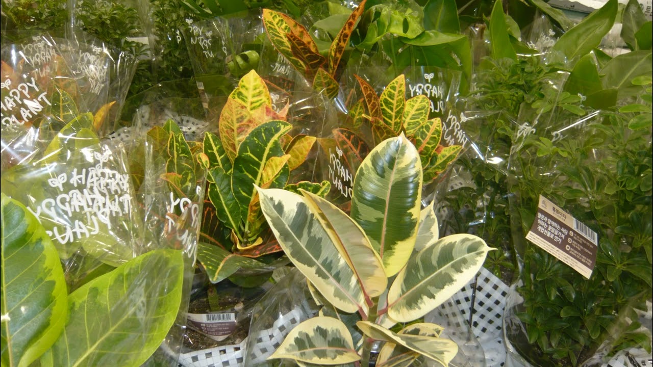 PANASONIC LUMIX DMC-FX33 Digital camera sample photo. 