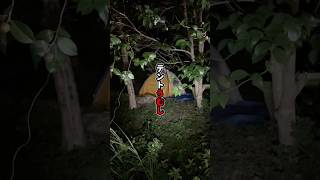 Tent Umushi #shorts #ghost #spirit #streaming #Moa #namaniku Information