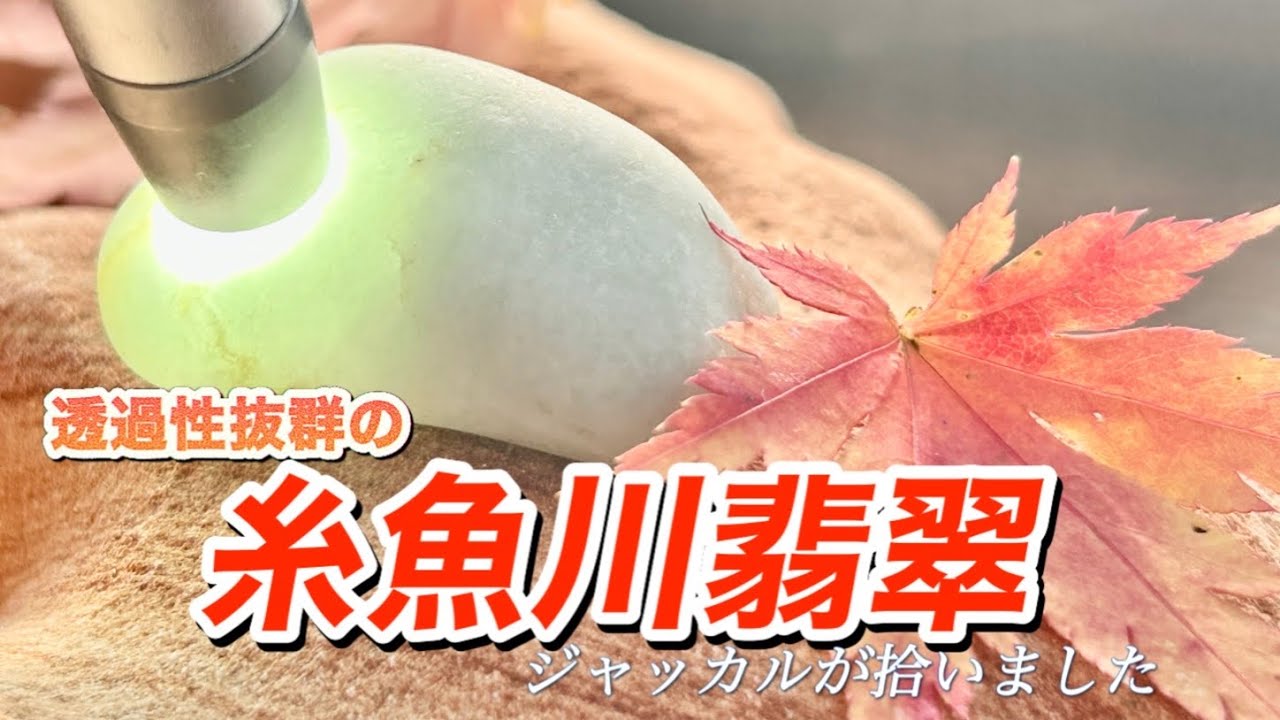 ジャッカル　秋の翡翠さがし　結晶ギラギラの翡翠を拾えました