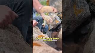 Why Was There Only Sand in the Jar? #foryou #hiddenwealth #explorer #surprise  #foryoupage #fyp