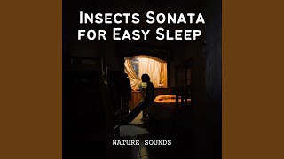 Soothing Insect Study Playlist