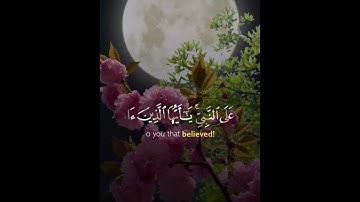 Surah Al-Ahzab | Verse 56 | Beautiful Voice | سورة الاحزاب | THE VISUAL QURAN