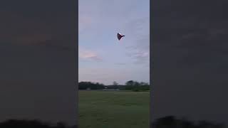 LET'S GO Eflite Ultrix 600mm zooming through the AIR#rcplanes#Eflite#rcaddict#ultrix600mm#rawfootage